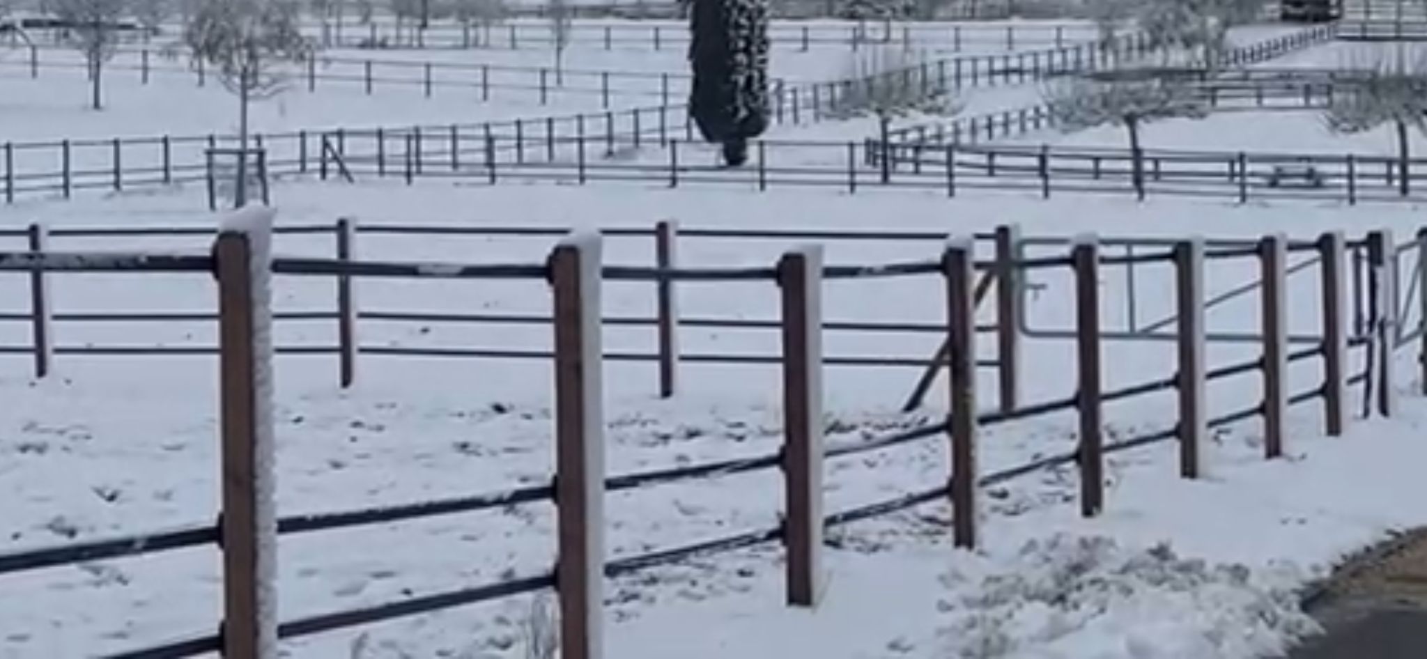 Hippo Safety Fence – tvora ganykloje