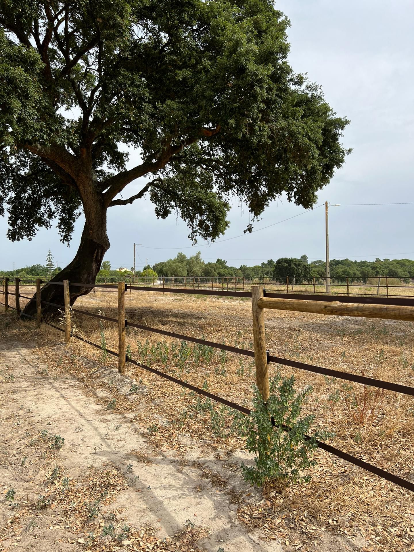 Hippo Safety Fence – sistema